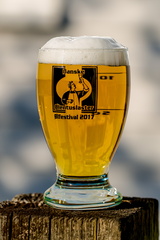 20170520-unwire-beerfestival-skaal