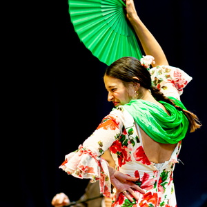 Arte Flamenco (23. februar 2020 - Klaverfabrikken Familiekoncert)