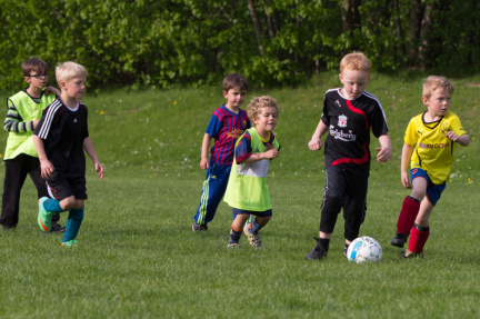 20140430 60D 196-2k-q80