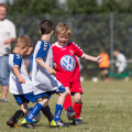 20140615 60D 194-2k-q8