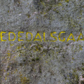 20170624-smededal-083