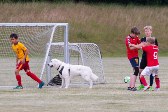 20190626-KBK-afslutning-016