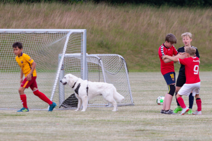 20190626-KBK-afslutning-016