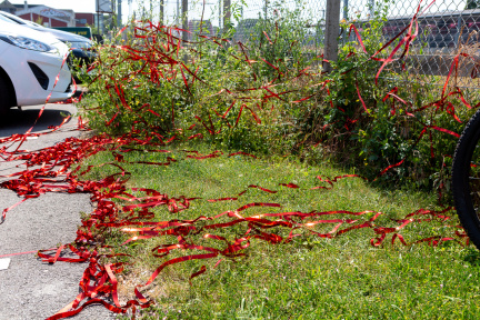 20200626-translokation-044