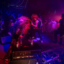 Afdød (22. November - Andelsslagteriet / Klaverfabrikken)